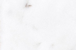 Blanco Ibiza