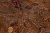Bronze Jasper